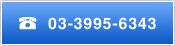 03-3995-6343